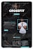 create modern responsive wordpress website, wordpress design