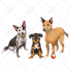 draw your pet in cute premium disney style