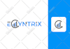 design a logo, branding, brand guidelines, and corporate identity kit