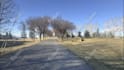 design your 3d garden, backyard,terrace,realistic landscape