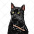 draw any pet photo into simple vector illustration