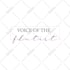 do modern, minimal and sophisticated feminine logo design