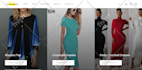 build a professional ecommerce website with shopify