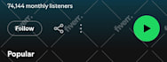 professional spotify music promotion