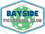 convert your logo or image to vector within 2 hours
