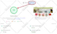 speed up webflow, prestashop, PHP, duda for google pagespeed insight