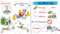 create custom whiteboard animation doodle explainer video
