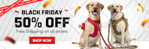 design website banner, shopify banner, web sliders