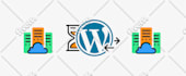 migrate wordpress site to a new host within 24 hrs