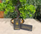 print your business cards