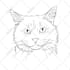 turn your pet into line art