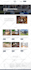 design wordpress, shopify and squarespace business website
