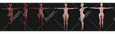 create realistic 3d human character model for you and rig