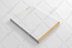 design a professional corporate identity