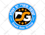 make a unique logo design in hebrew languag