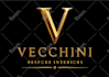 convert image to vector, redraw logo professionally