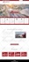 design or redesign wix website professionally