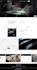 design and develop premium wordpress website elementor pro