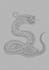 draw concept art for characters, dragons and monsters