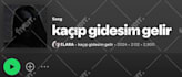 do spotify music promotion, spotify promotion