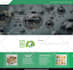 move, migrate, transfer wordpress or any other website to the new hosting