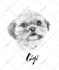 draw digital scribble pet portrait