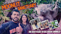 design viral youtube thumbnails with high CTR in 24 hours