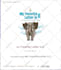 promote childrens books or young adult books