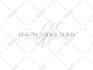 create a beautiful beauty salon logo