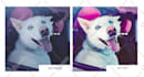 edit your photos professionally through lightroom