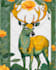 draw tarot card, playing card, or any illustration