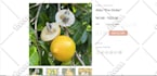 create landing page single page one page website design with elementor