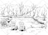 draw raster line art sketch