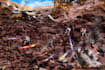 make a star wars edit in your photos