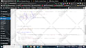 do wordpress error fix and debug