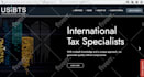 develop a site on wordpress
