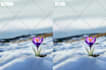 wedding photo editing photoshop photo editing  and retouching