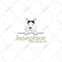 create a professional logo and corporate brand identity system