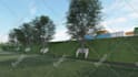 create garden or landscape 3d rendering