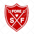 vectorize your logo and artwork  superfast