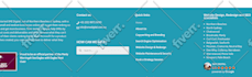 fix, customize, and develop wordpress themes and plugins