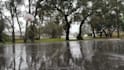 make professional high quality rain and meditation video