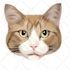 dog, cat, any pet to vector portrait