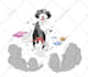 draw cute animal character illustrations