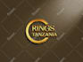 create a professional logo design for your business