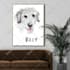 draw digital scribble pet portrait