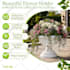 design amazon listing images and infographic design