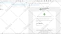 solve your wordpress not receiving email in a few hours SMTP