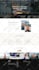 build wordpress website development, business website, wordpress website design