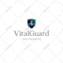 do logo design and brand identity guidelines, branding kit